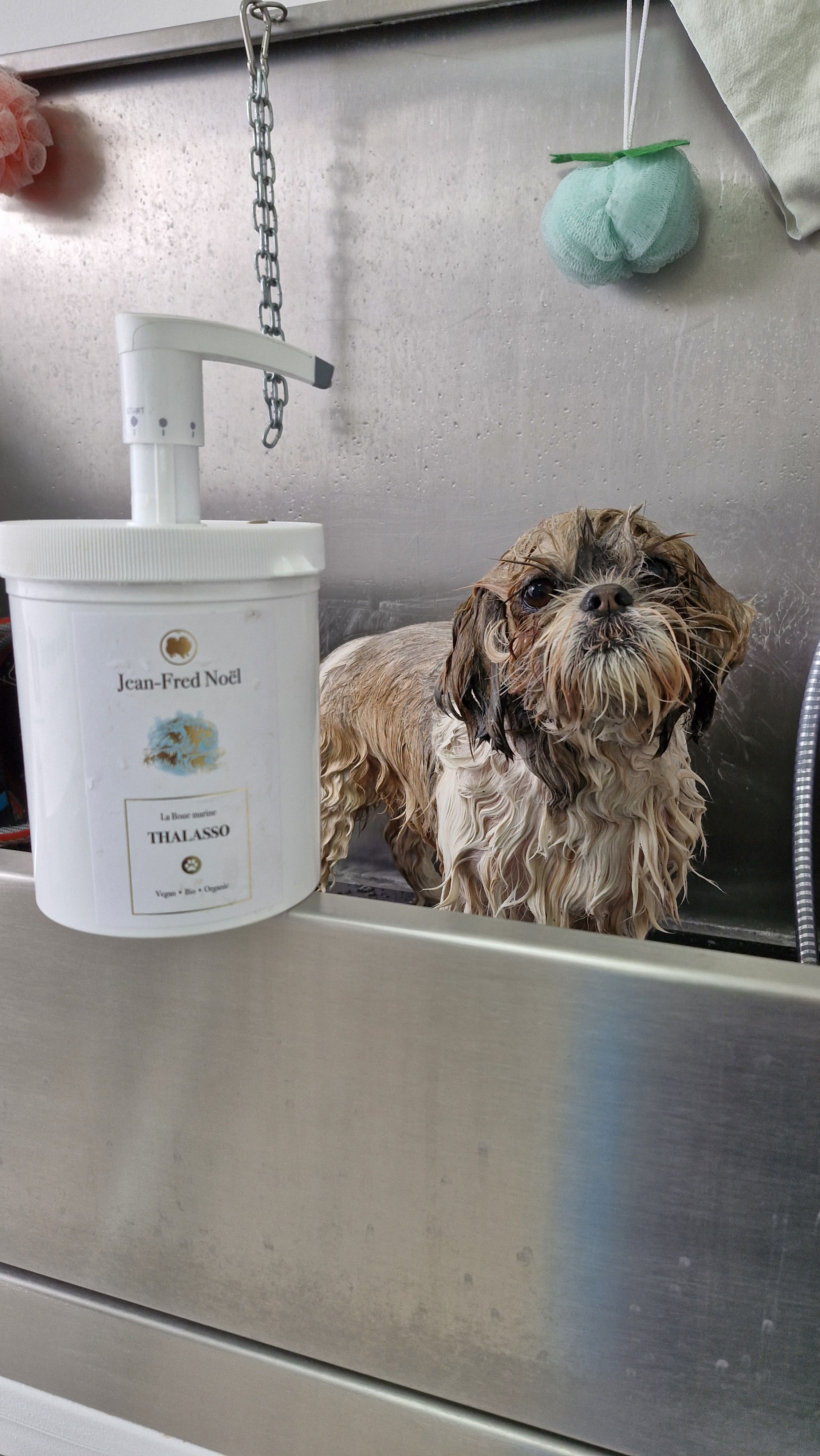 Thalasso Produkt und Behandlung