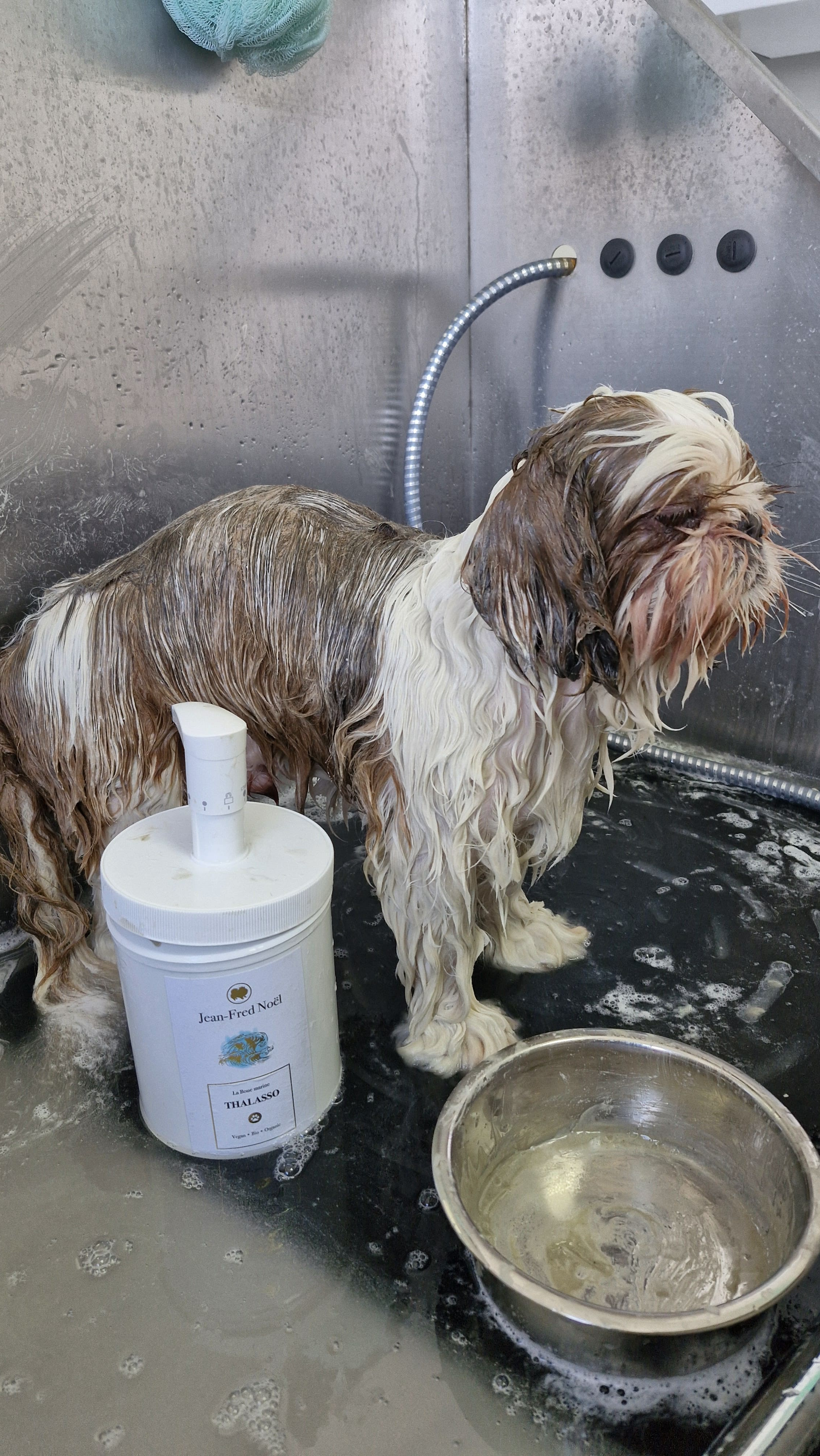 Thalasso Produkt und Behandlung