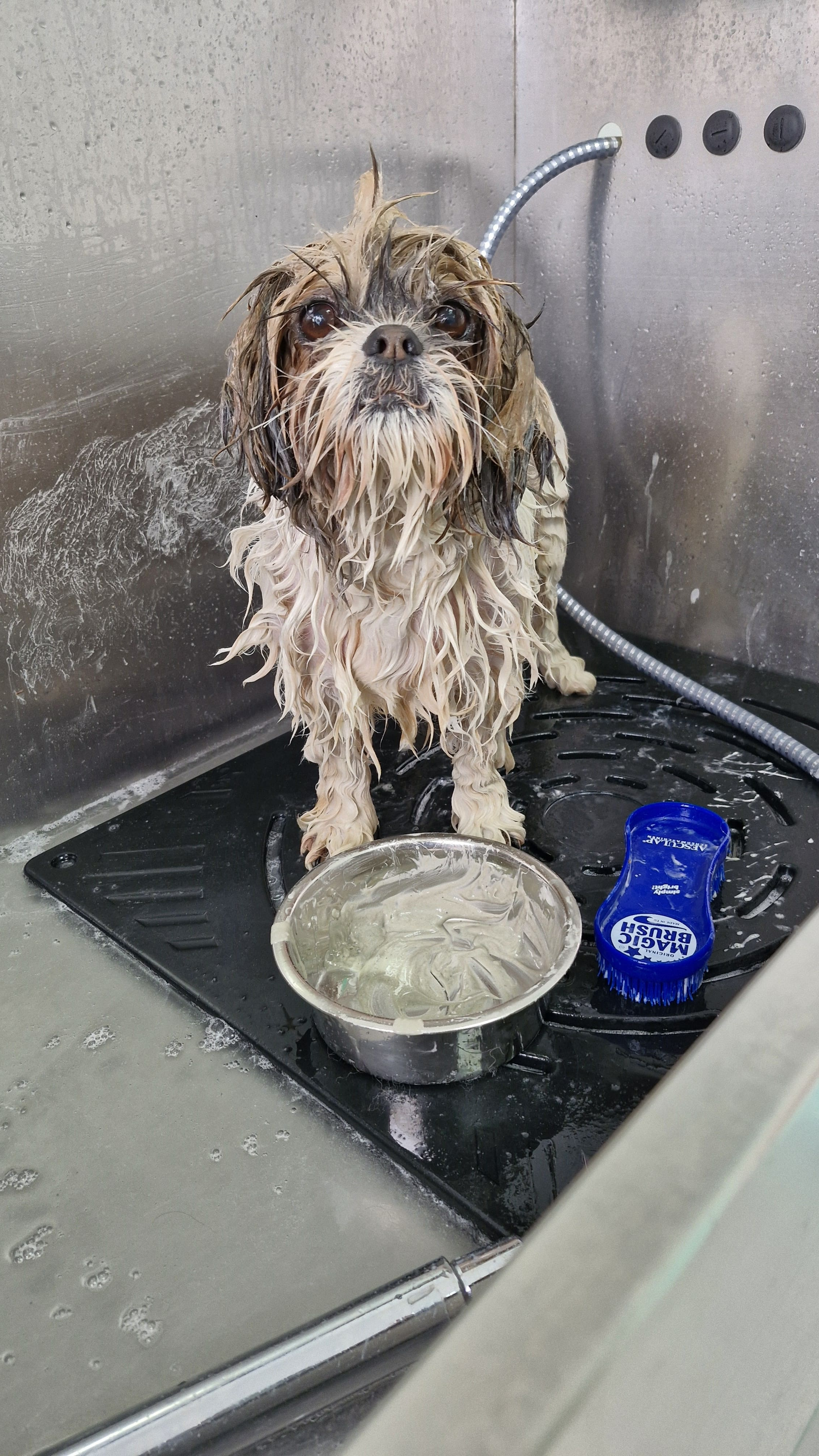 Thalasso Produkt und Behandlung