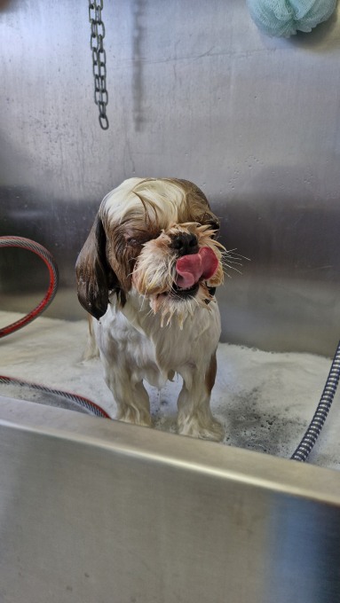 Thalasso Produkt und Behandlung